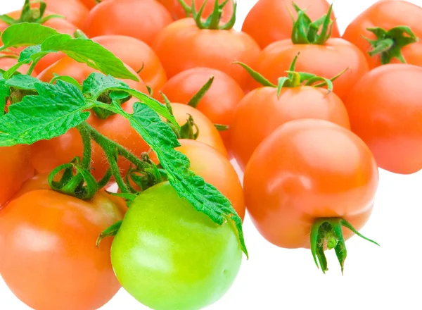 Composition of tomato — Stock Photo, Image