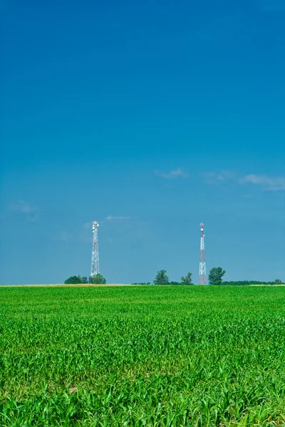 Kukuřičné pole a dva věžové vertikální — Stock fotografie