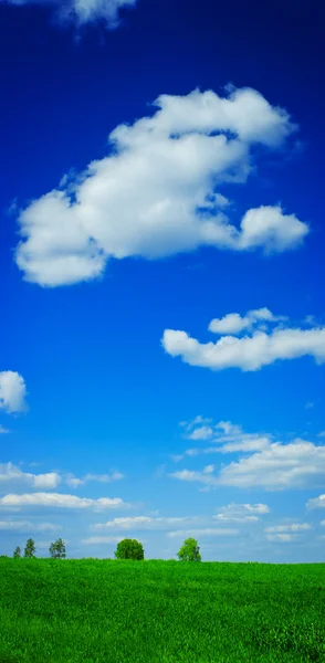 Champ et ciel avec des nuages — Photo