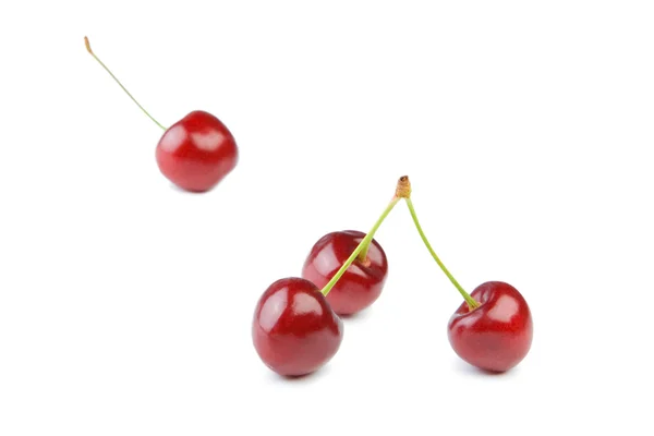 Vier cherry — Stockfoto