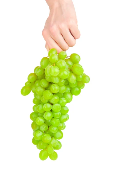 Виноград на руке — стоковое фото