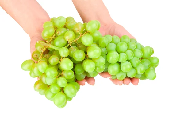 Grape on a hands — Stockfoto