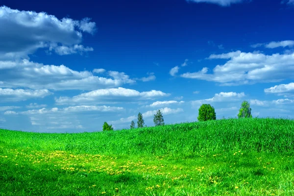 Güzellik mavi gökyüzü ile yeşil çayır — Stok fotoğraf