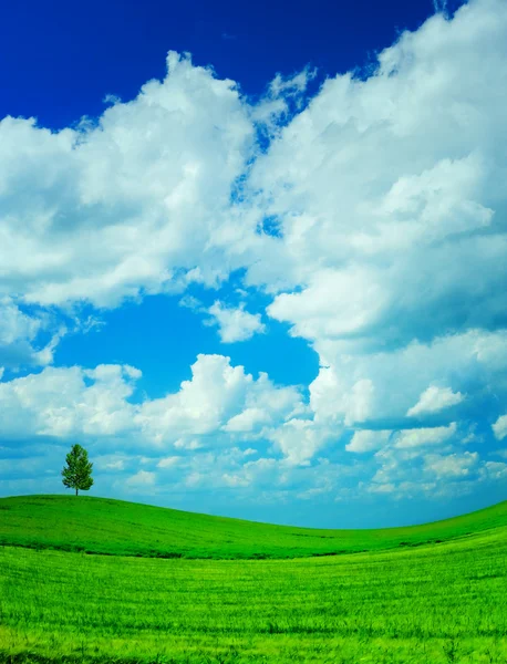 Hill fältet sky — Stockfoto