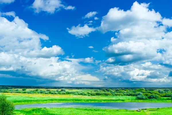 Grasveld met blauwe lucht — Stockfoto