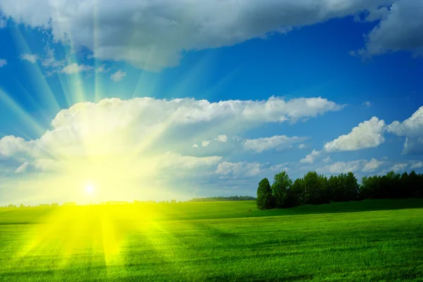Nascer do sol em um prado com bela nuvem — Fotografia de Stock