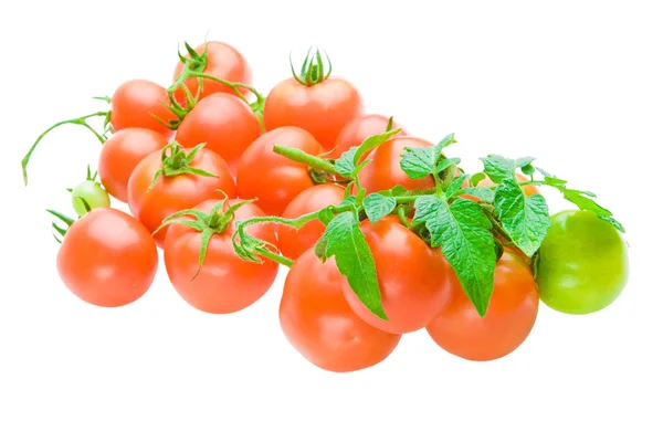 Tomater isolerade — Stockfoto