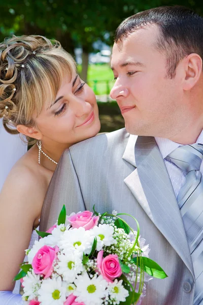 El novio y la novia miran — Foto de Stock