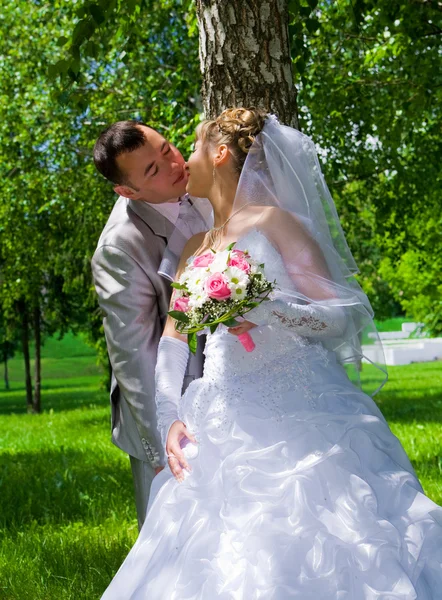Das Hochzeitspaar küsst neben einem Baum — Stockfoto