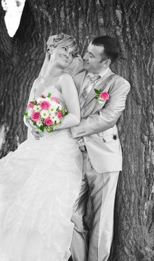 Wedding couple on clipart