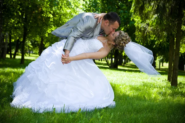 Bruidspaar kus in het park — Stockfoto