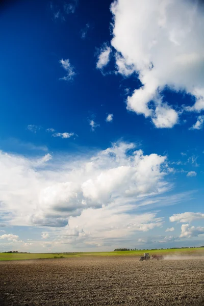 Sky and field with tractor — Stock Photo, Image