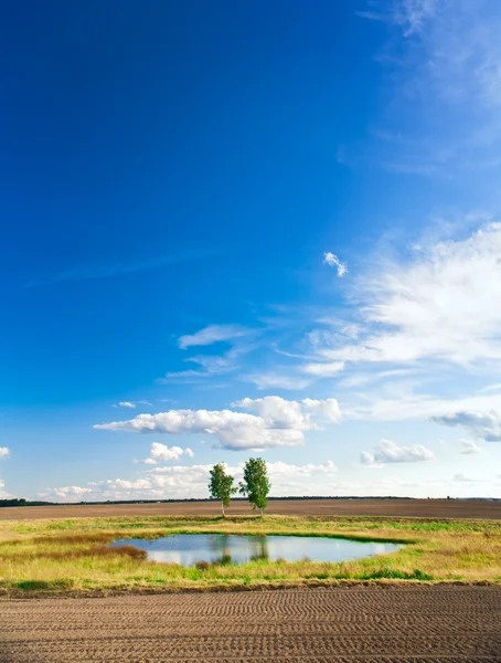Lake on a autumn field — Stock Photo, Image