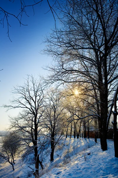 Vista de inverno — Fotografia de Stock