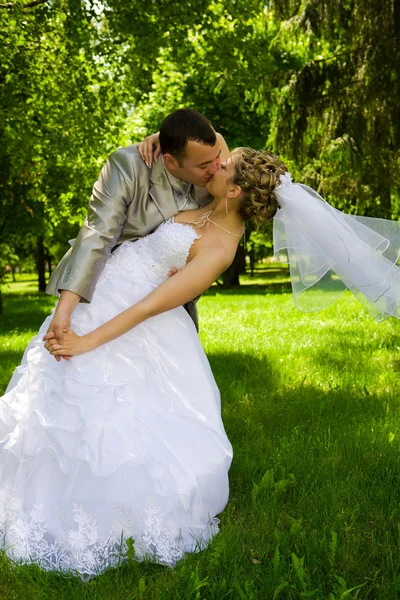 Жених держит невесту в парке — стоковое фото