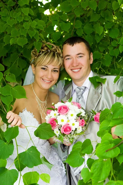 De bruidegom en de bruid in gebladerte — Stockfoto