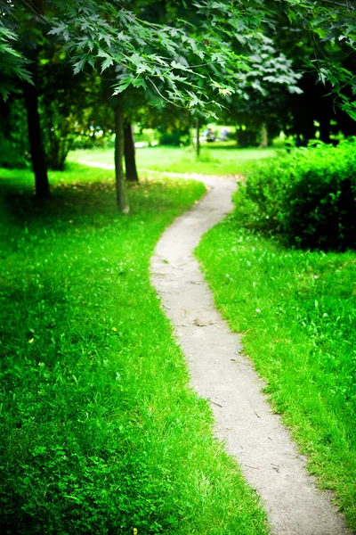 Parque verde — Fotografia de Stock