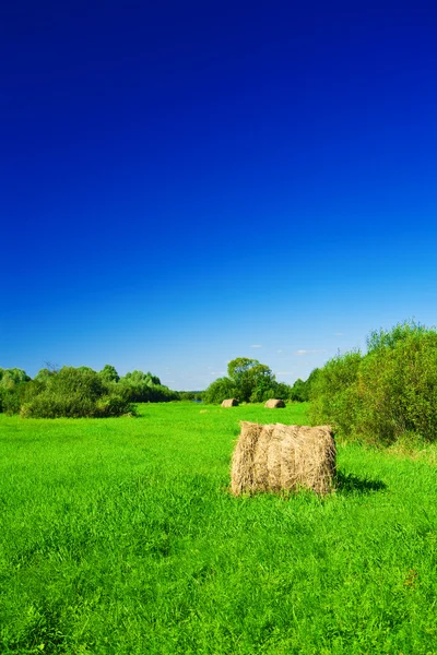 Haystack on a green field — Stock Photo, Image