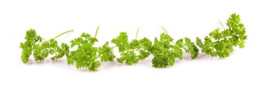 Isolated banches of parsley clipart