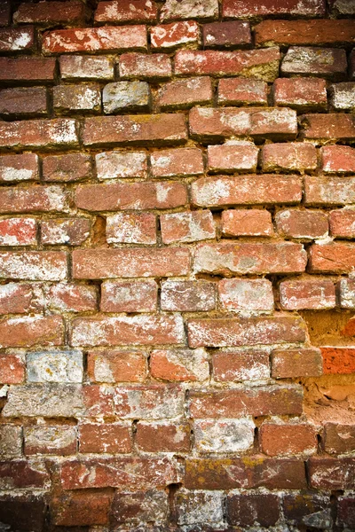 Background of the brick structure — Stock Photo, Image