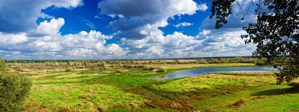 Панорама осеннего луга — стоковое фото