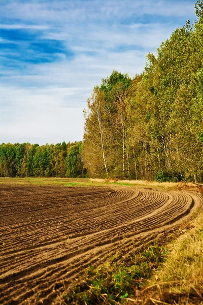 El campo arado al borde de un bosque — Foto de Stock