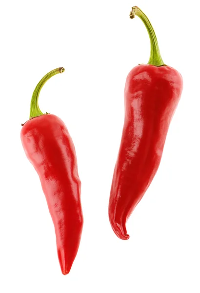 Två röd chili pepers — Stockfoto