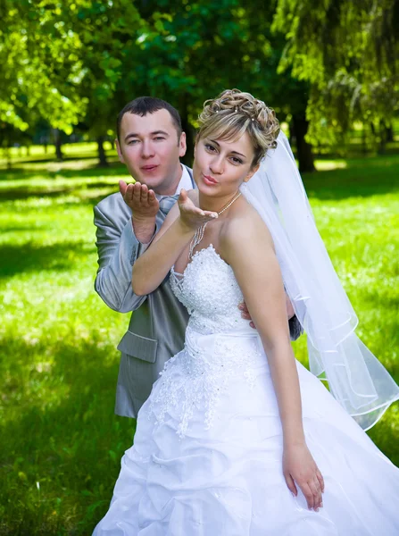 Bruiloft lucht kus — Stockfoto