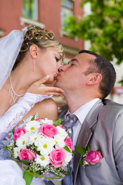 Boda pareja kises — Foto de Stock