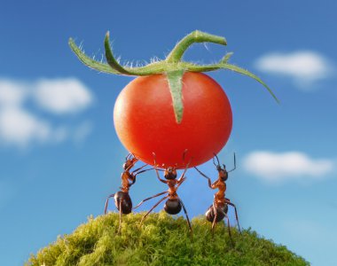 concept or conceptual red d or red ants in a human hand and green grass, a man in red clothes on blue sky background  clipart