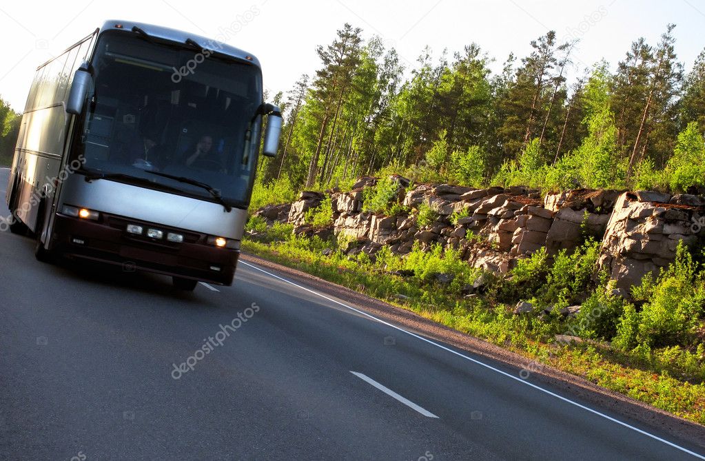 a bus is moving in the forest. 