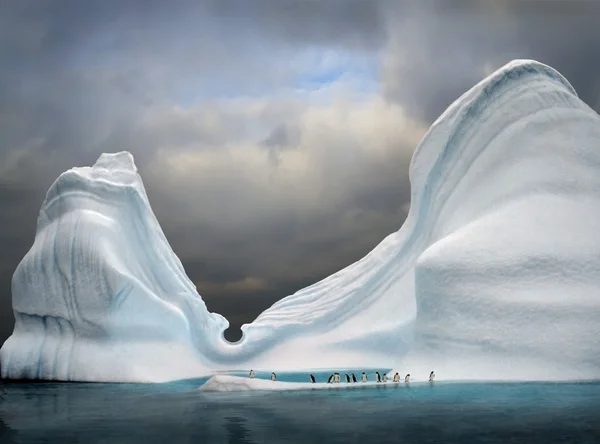 Бассейн пингвинов — стоковое фото