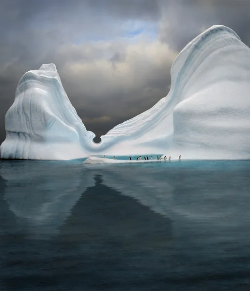 冰山是游泳池的企鹅 免版税图库照片