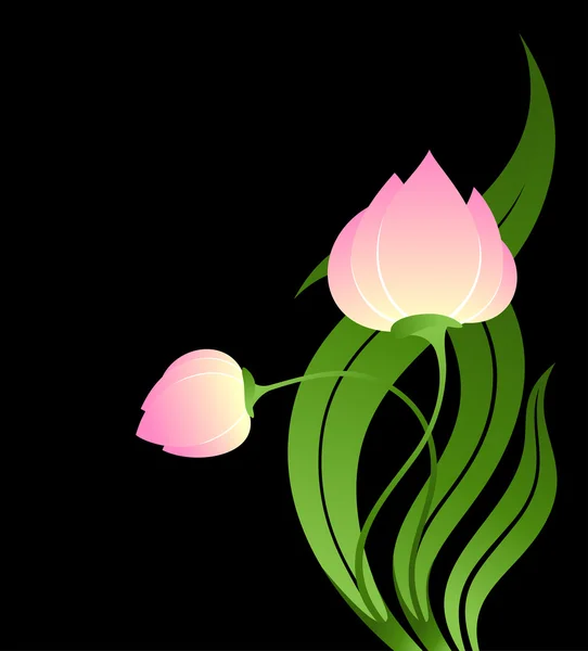 Tulipa rosa — Vetor de Stock
