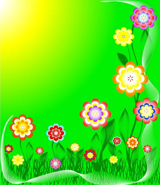 Květiny a slunce. — Stock fotografie