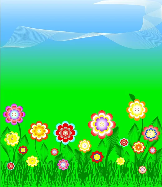 Květiny a pastviny s sun. — Stock fotografie
