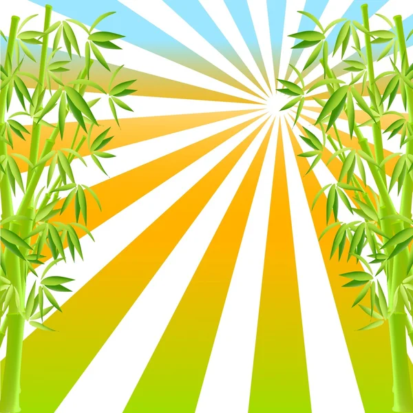 Illustration of bamboo — Stock Photo, Image