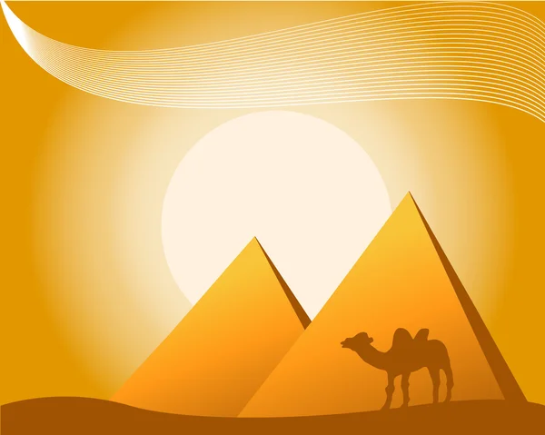 Pyramidy, velbloudí na slunečné pozadí — Stock fotografie