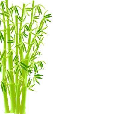 Green bamboo clipart