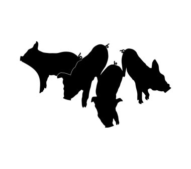 Four black Pig's silhouettes clipart