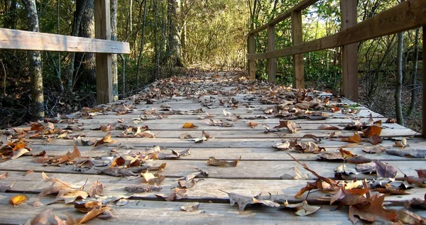 A ponte de madeira no parque — Fotografia de Stock