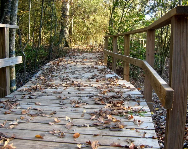 Листья на деревянном мостике — стоковое фото