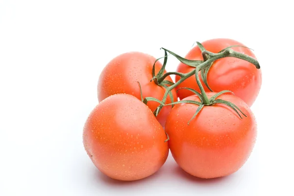 Home grown tomatoes — Stock Photo, Image