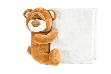 Toy a bear an embracing white album clipart