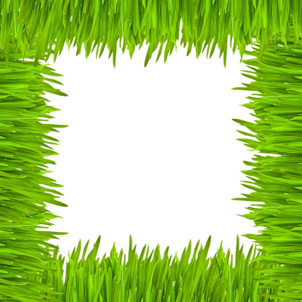 The frame of green grass — Zdjęcie stockowe