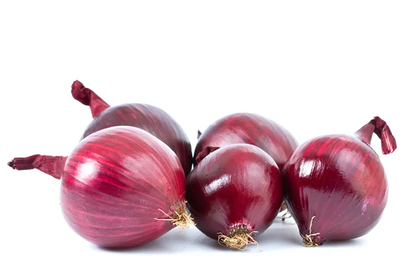 stock image Violet onion