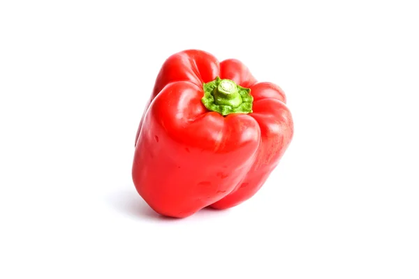 Rode zoete paprica peper — Stockfoto