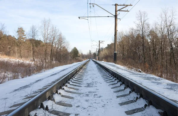 stock image Rails of the railway in the winter
