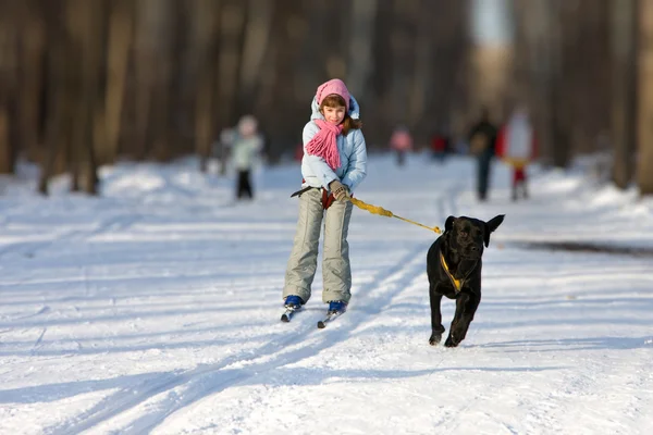 Tjejen på skidor kommer för en löpande hund. — Stockfoto