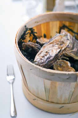 İstiridye ve deniz yosunu ile tahta kova